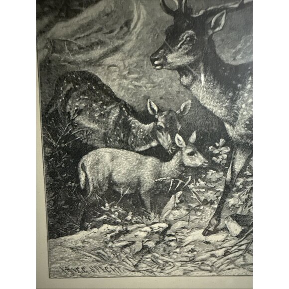 Selmar Hess Publisher N.Y. Fallow Deer Print Glass Framed 1855 Magazine 14x10” - Picture 8 of 10
